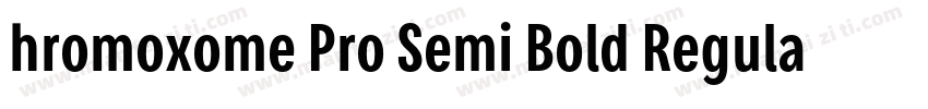hromoxome Pro Semi Bold Regular字体转换